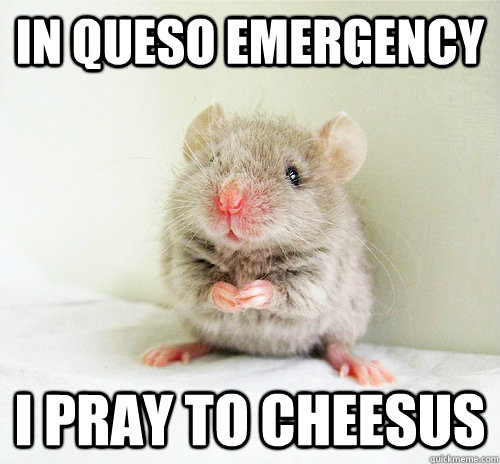 queso