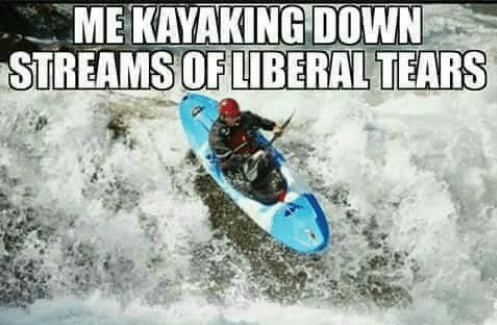 me-kayaking-down-streams-of-liberal-tears-_-viper-6664011