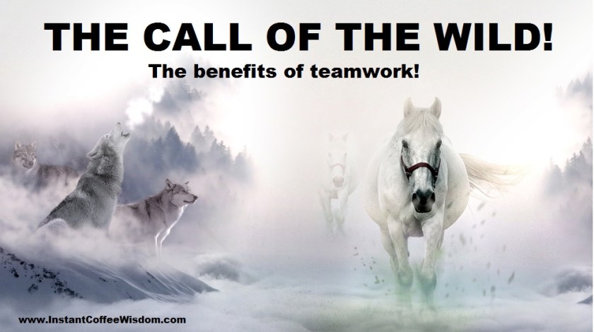 THE CALL OF THE WILD