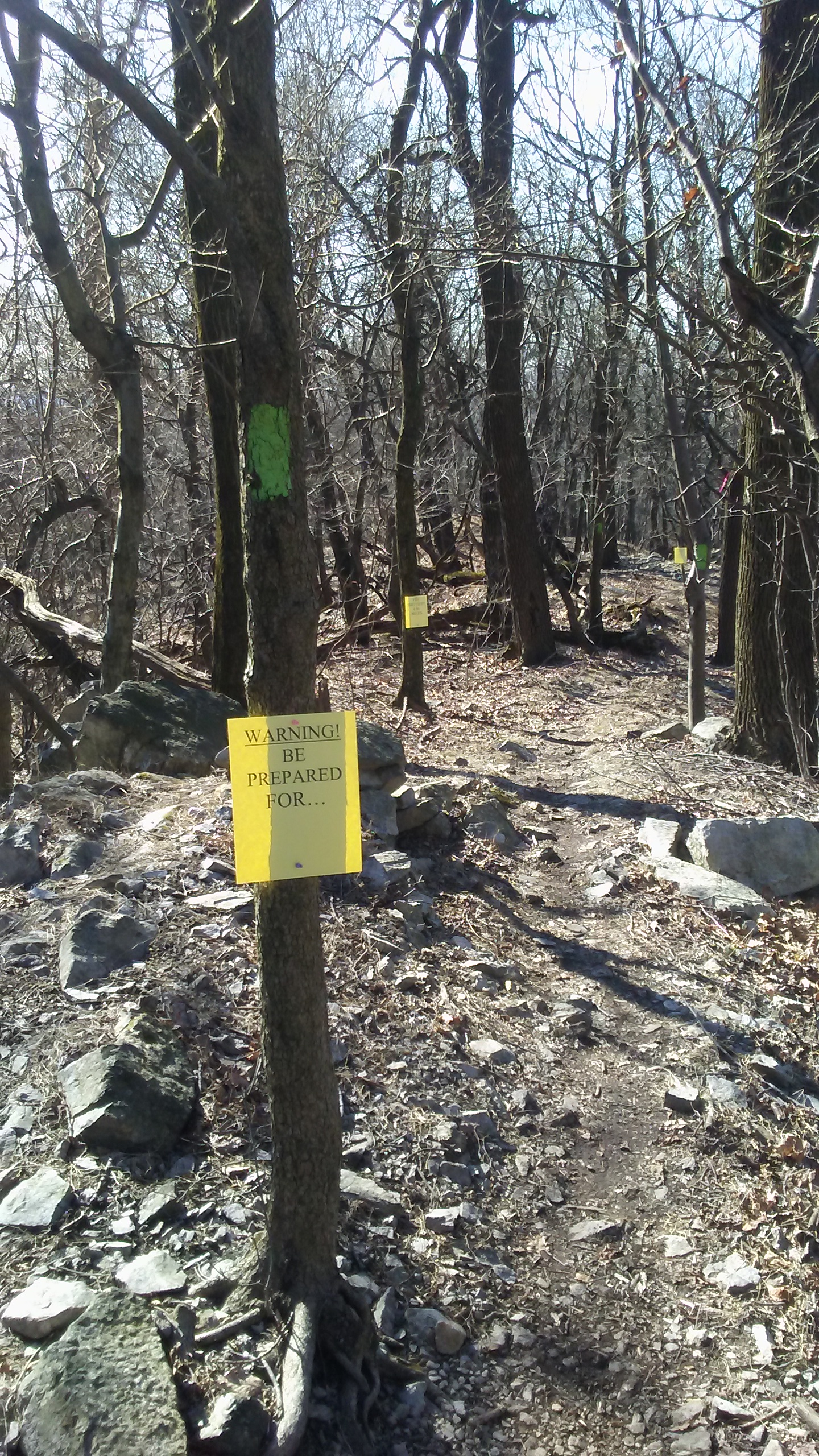 20200223_104423_Burst01