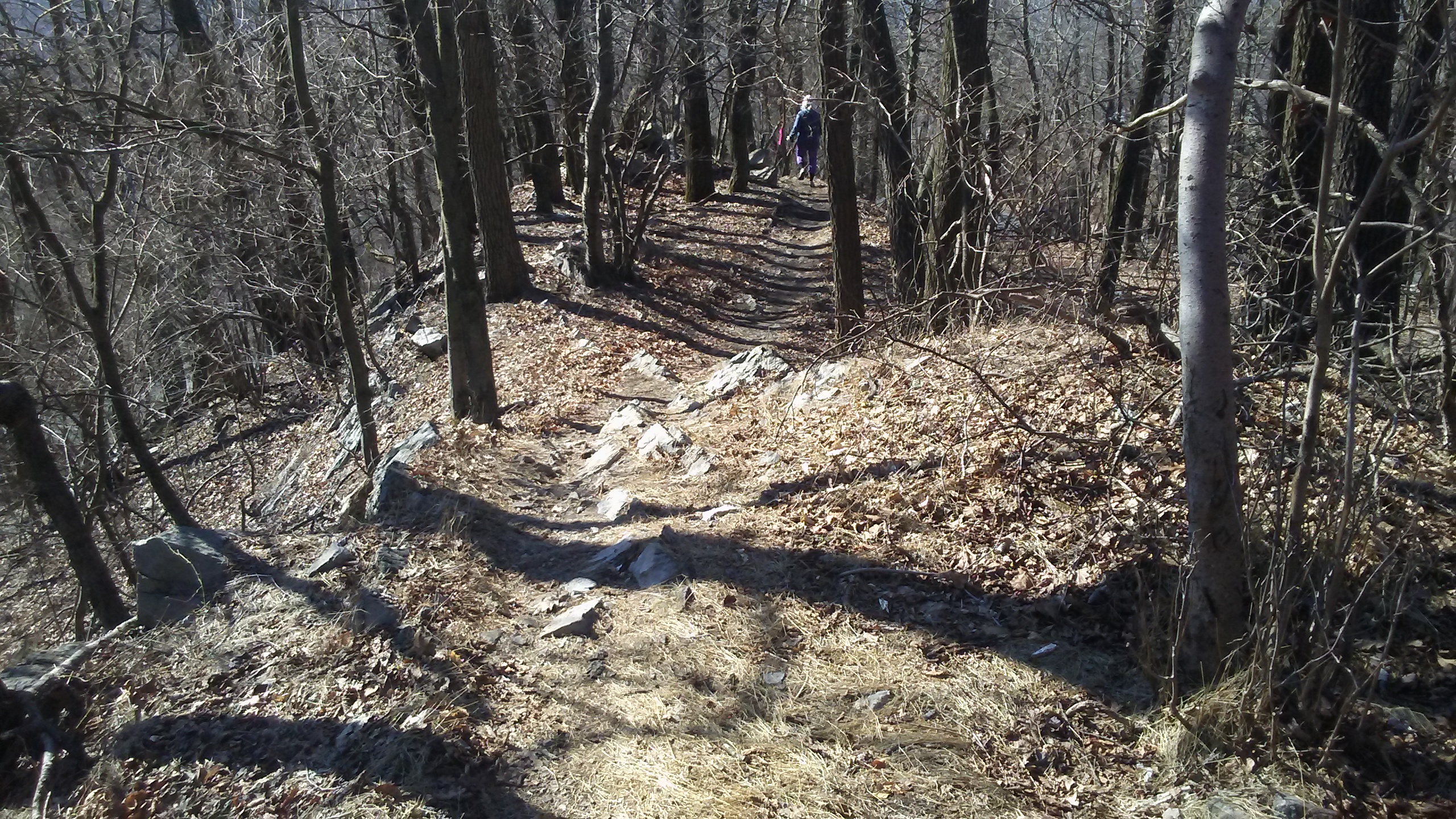 20200223_104643_Burst01